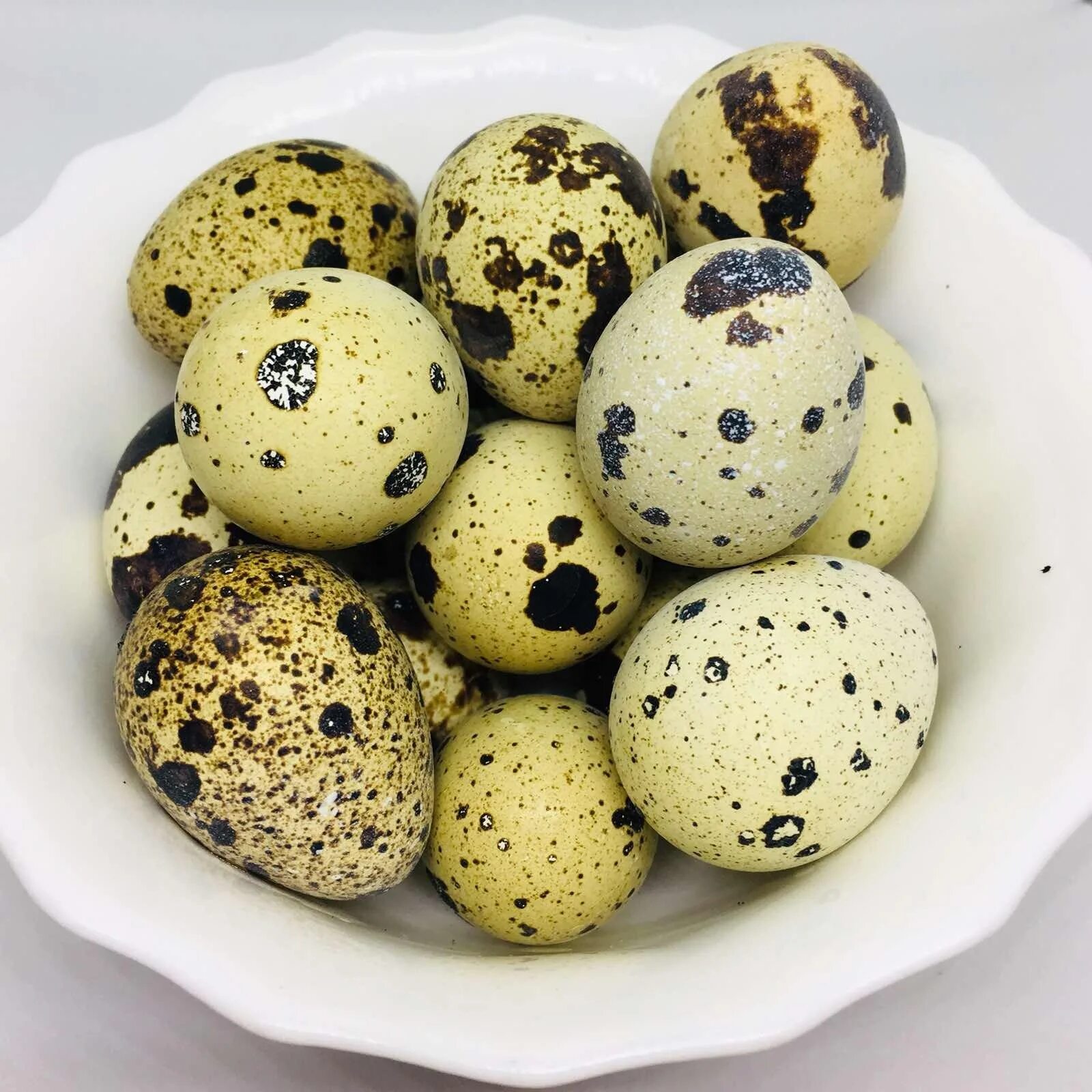 Углицкая перепелиные яйца. Яйцо перепелиное. 10 Перепелиных яиц. Декоративные перепелиные яйца. Где купить перепелиные яйца