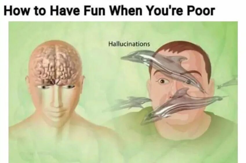 When we fun. How Hallucination looks like.