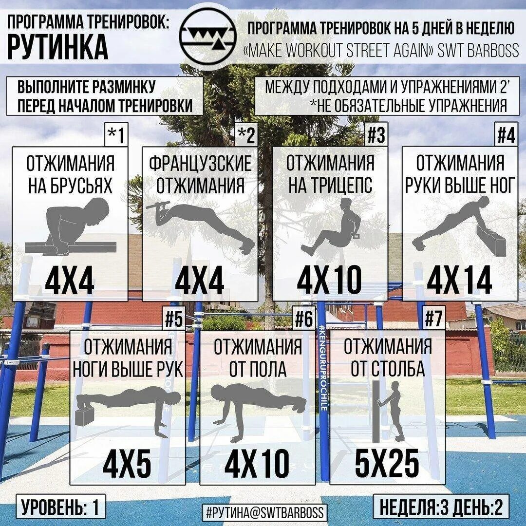 Программа тренировок на турнике и брусьях для начинающих. Программа тренировок на турнике и брусьях на рельеф. Упражнения на турнике и брусьях программа тренировок. План тренировок на турнике и брусьях. Подтягивания отжимания приседания