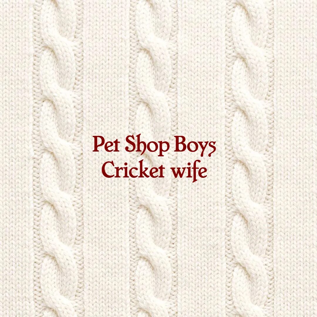 Pet shop boys Cricket wife. Pet shop boys - "Smash - the Singles 1985-2020" (2023). Pet shop boys best. Pt shop boys альбом Ultimate слушать. Loneliness pet shop boys