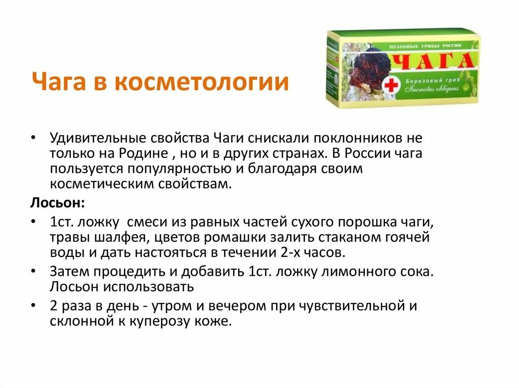 Лечение и противопоказания чагой. Для чего полезна чага. Чага Берёзовая полезна. Чага Берёзовая полезна чем. Свойства и чем полезна чага.