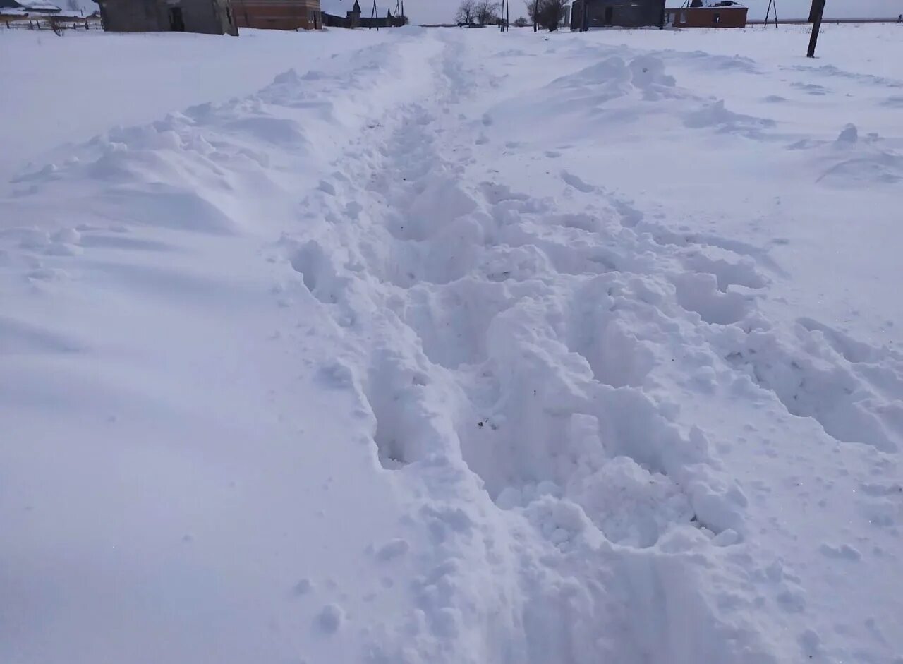 Село качки занесенное снегом оттаивает