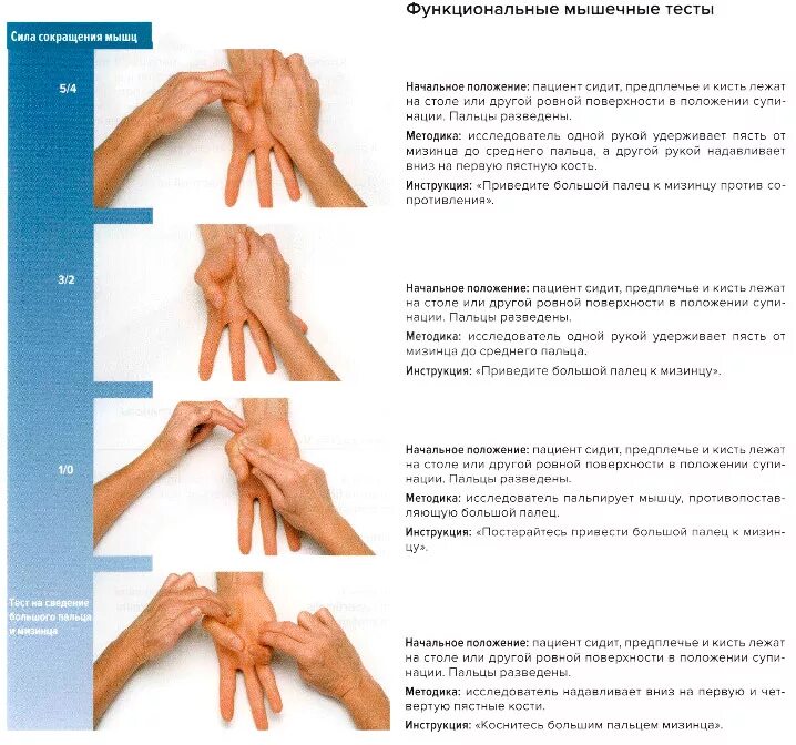 Функциональные мышечные тесты. Функциональное тестирование мышц. Объем движений пальцев кисти. Тест запястья и большого пальца.