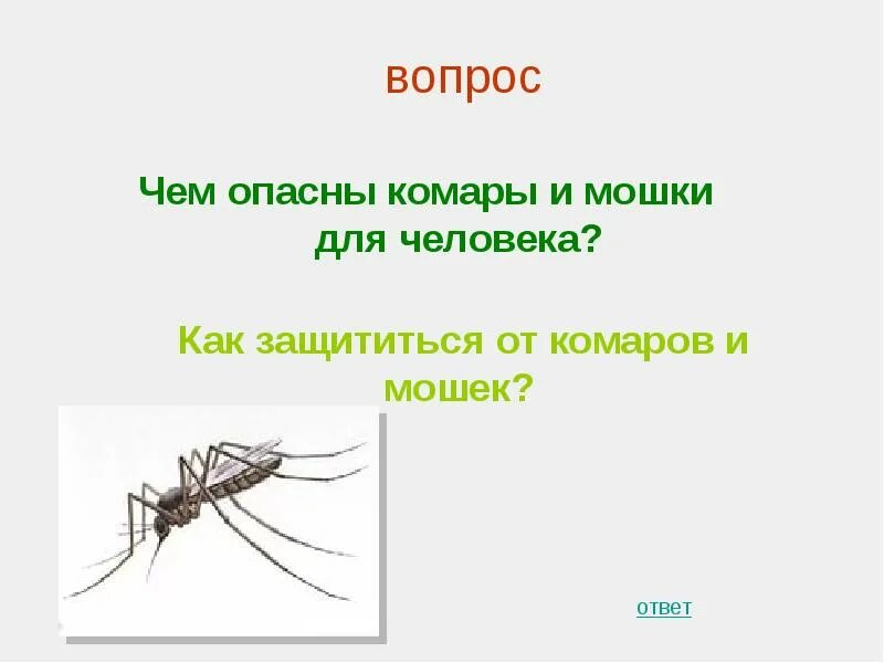 Комар какая среда. Комары и мошки чем опасны для человека. Чем опасны комары для человека. Ядовитые комары. Почему комары опасны для человека.