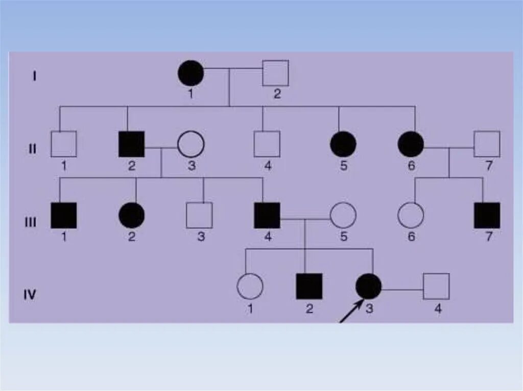 Родословная здоровой семьи генетика. Родословная семьи пробанд. Родословная семьи с гипертонической болезнью. Родословная по генетике с пробандом.