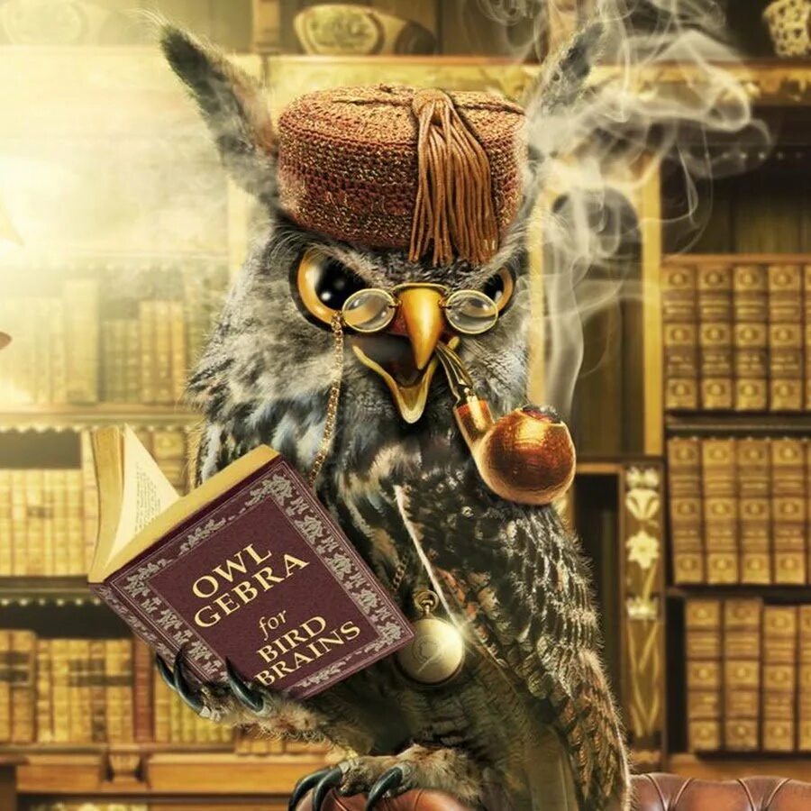 Анекдот про сову и мышей я не тактик я стратег. Умная сова арт. Сова с книгой. Сова с книгой. Доктор я очень боюсь сов.