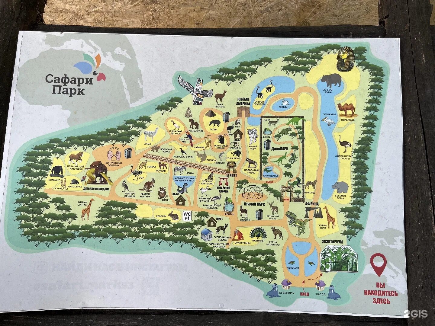 Солнечный остров Краснодар сафари парк. Солнечный остров Краснодар зоопарк. Зоопарк в Краснодаре сафари парк. Парк Солнечный остров Краснодар зоопарк.