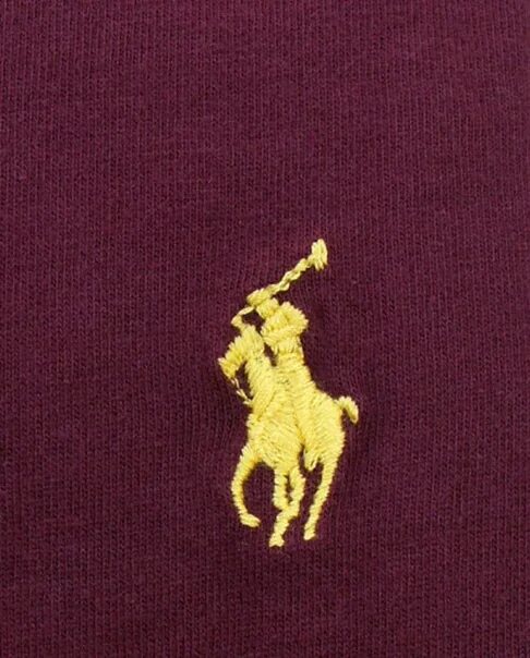 Бренд на коне. Значок поло Ральф лаурен. Polo Ralph Lauren логотип. Polo Ralph Lauren USPA. Вышивка бренда Polo Ralph Lauren.