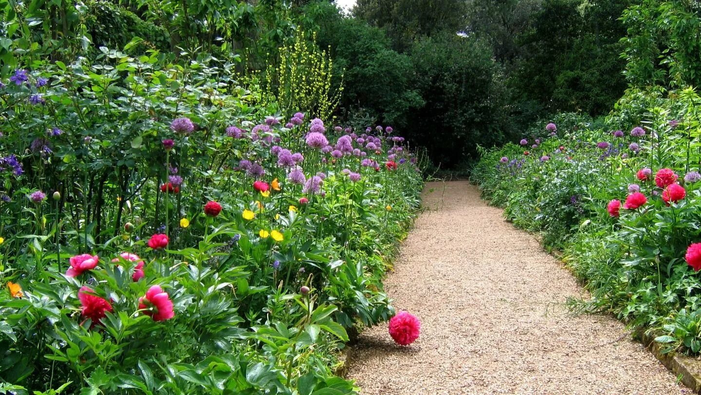 Garden flowers перевод. Рабатка Тунберга. Агроценоз клумба. Сад борде-Хилл. Тропинки в саду.