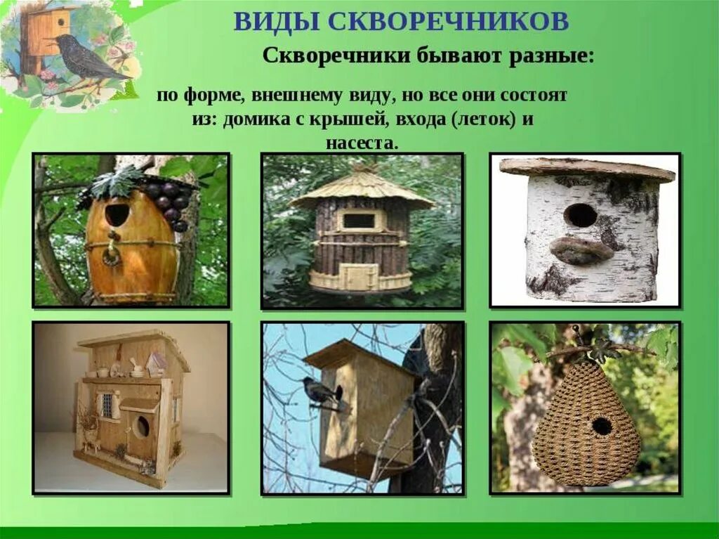 Проект по технологии скворечник. Презентация на тему скворечник. Проэкт на тема скворечник. Презентация скворечник. Скворечник чертеж.
