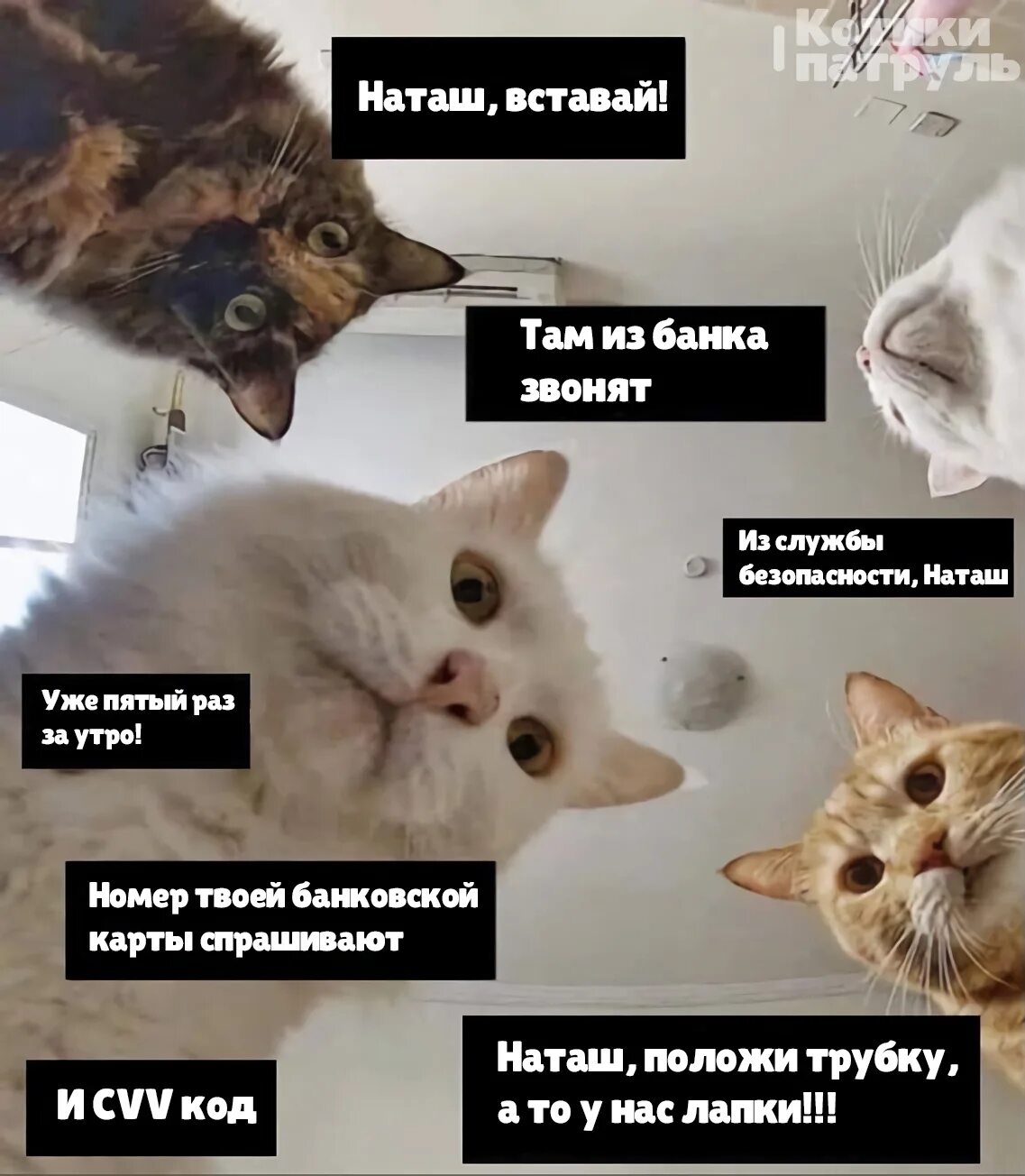 Я его уже не подниму
