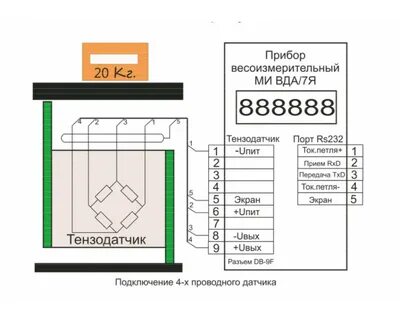 Подключись к 7
