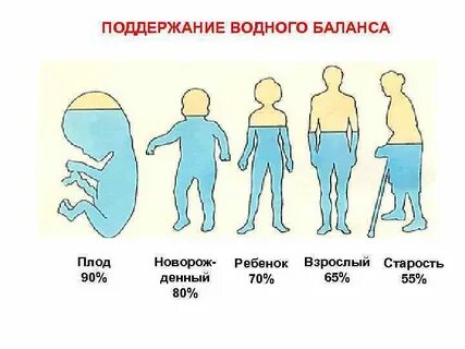 Поддержание баланса