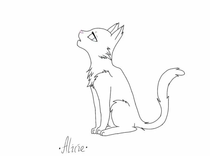 Коты воители легко. Коты воители для срисовки. коты воители срисовать. рисунки для срисовки котики. рисунки котов воителей карандашом для срисовки.