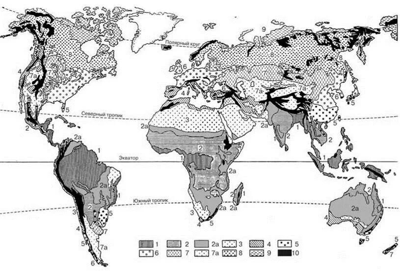 Биомы суши. Схема растительных зон земли по г.Вальтеру. Растительные зоны земли по Вальтеру карта. Биомы суши карта.