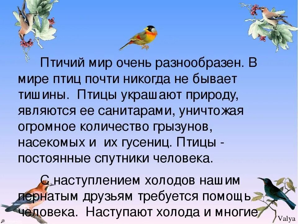 Приходилось ли вам наблюдать. Сообщение о птицах. Сообщение на тему птицы. Сообщение о птицах 3 класс. Характеристика класса птицы.