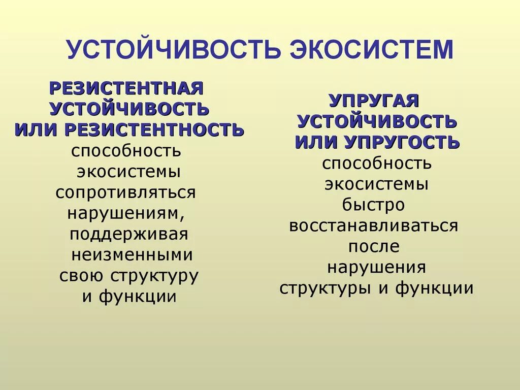 Экосистемой можно считать. Устойчивость экосистемы. Устойчивость биоэкосистем. Устойчивые экосистемы примеры. Устойчивость природных экосистем.