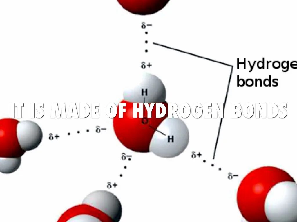 Водородная связь. Водородные связи в воде. Связи в молекуле воды. Водородные связи в молекуле воды.