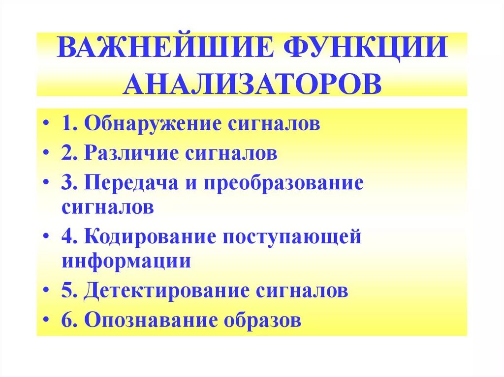 Функции анализаторов. Основные функции анализаторов. Функционирование анализаторов. Функции анализаторов человека.