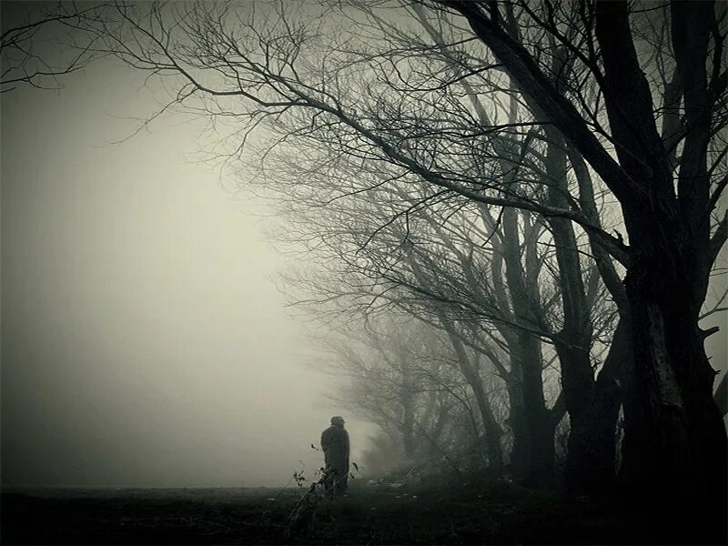 Полная тайна хмурой тишины. Тишина одиночество. Мрачные статусы. Одиночество души. Изображения со смыслом.