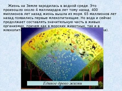 Среда зарождения жизни