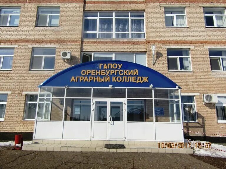 оренбургский аграрный колледж подгородняя покровка официальный сайт. покровский аграрный колледж имени чердинцева. покровский колледж официальный сайт. учебное заведение. покровка колледж.