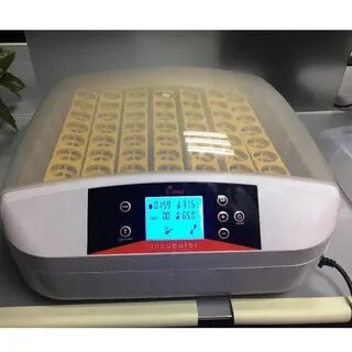 Инкубатор с автоматической регулировкой влажности и температуры