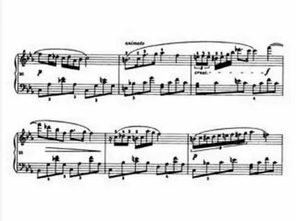 Шопена 13