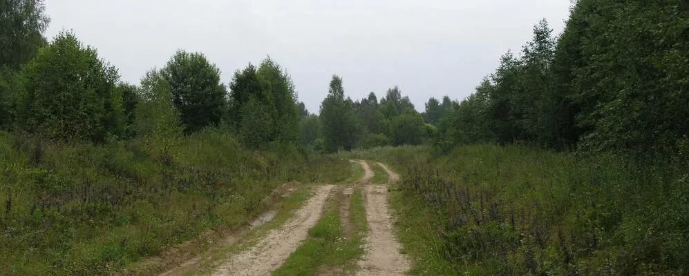 Погода высокое новодугинский район. Деревня Белоусово Новодугинского района Смоленской области. Котово Смоленская область Новодугинский район. Деревня Котово Смоленская область Новодугинский район. Алхимово Новодугинского района.