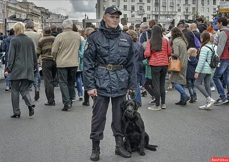 На страже порядка