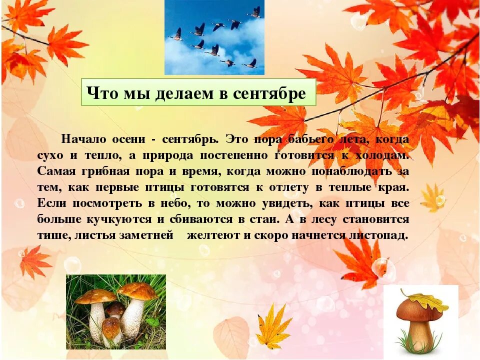Сочинение 1 сентября. Описание сентября для детей. рассказ про сентябрь. презентация сентябрь. осень в сентябре сочинение.