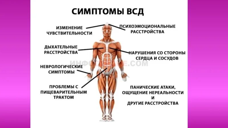 Вегетативная дистония симптомы