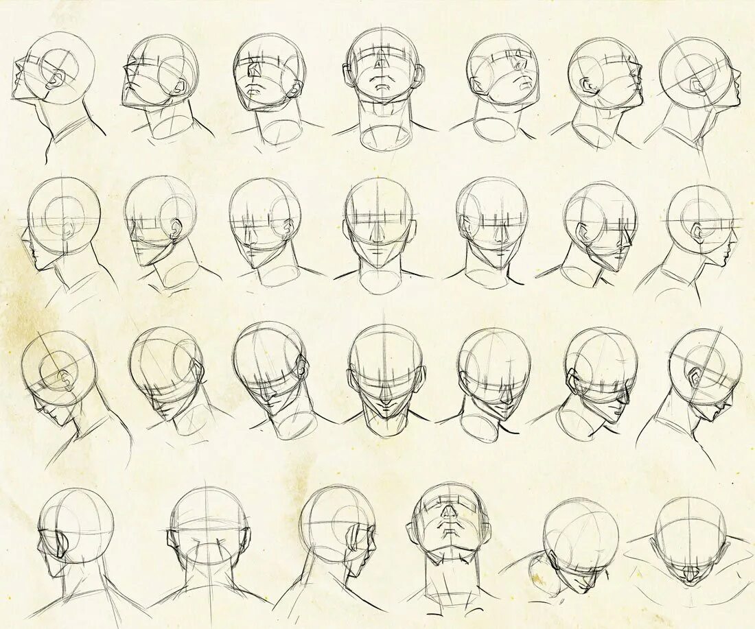 Голова в бок референс. Голова снизу референс. Референс головы человека