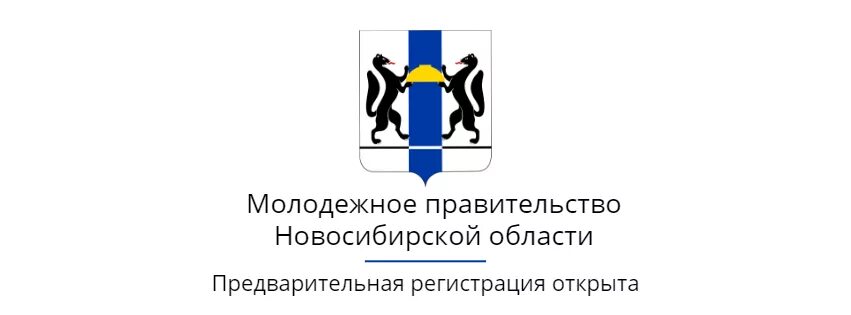 Правительство Новосибирской области логотип. Молодежное правительство Новосибирской области. Правительство НСО флаг. Герб Министерства здравоохранения Новосибирской области.