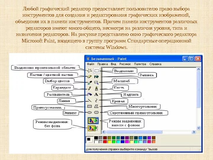 Что относится к графическому редактору ответ. Что относится к графическому редактору ответ