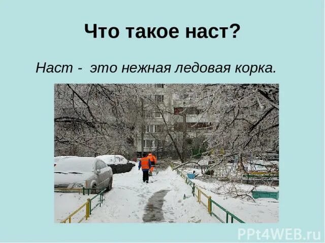 Заледеневшая корка на снегу после короткой оттепели. Наст на снегу. Наст. Наст зимой. Наст корка снега.