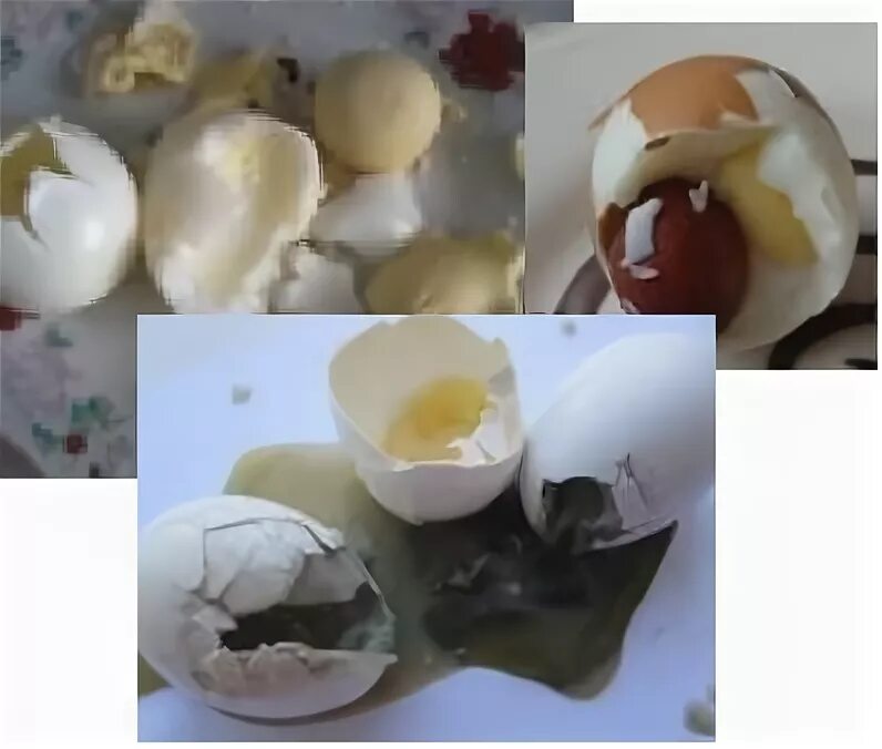 Яйцо стало черным. Протухшее куриное яйцо. Испорченное вареное яйцо. Испорченные вареные яйца.