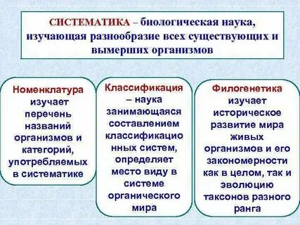 Предмет и объект изучения систематики в биологии