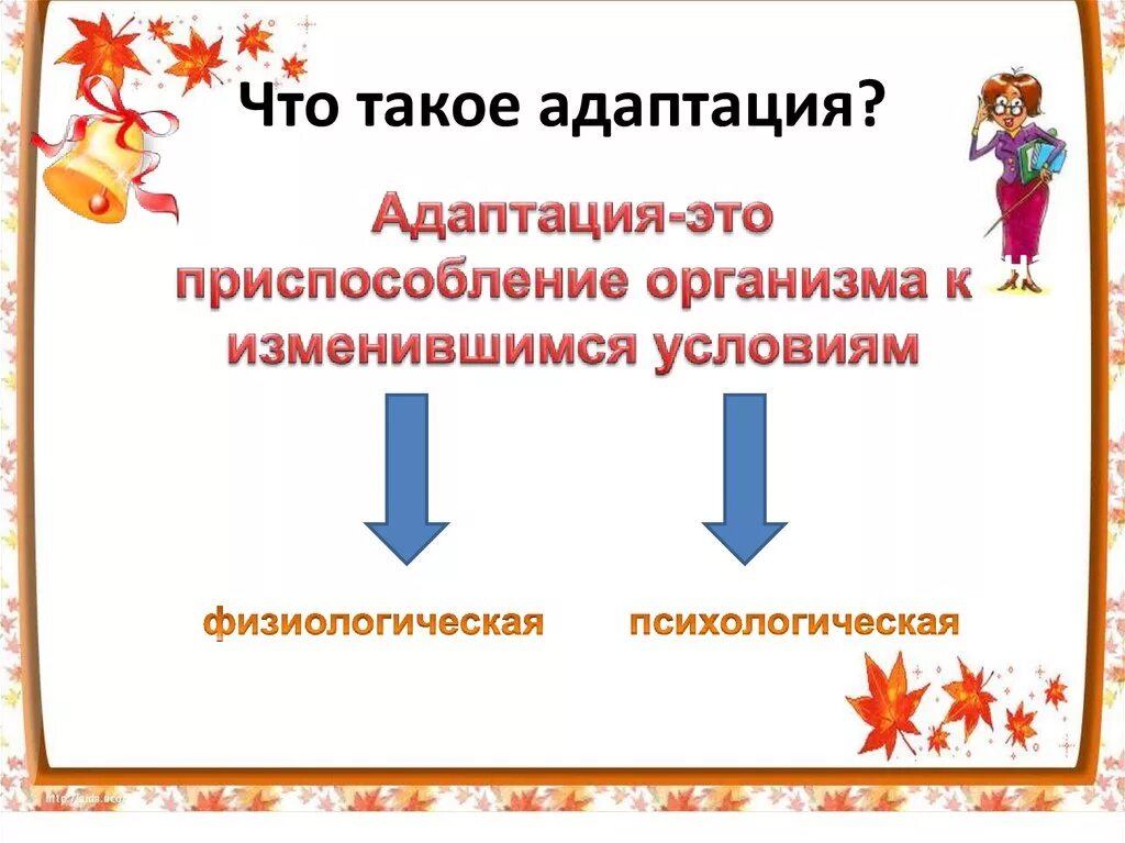 Адаптация. «Что такое адаптация к школьному обучению?» Памятка. Адаптация картинки. Адаптироваться. Заменить слово адаптация