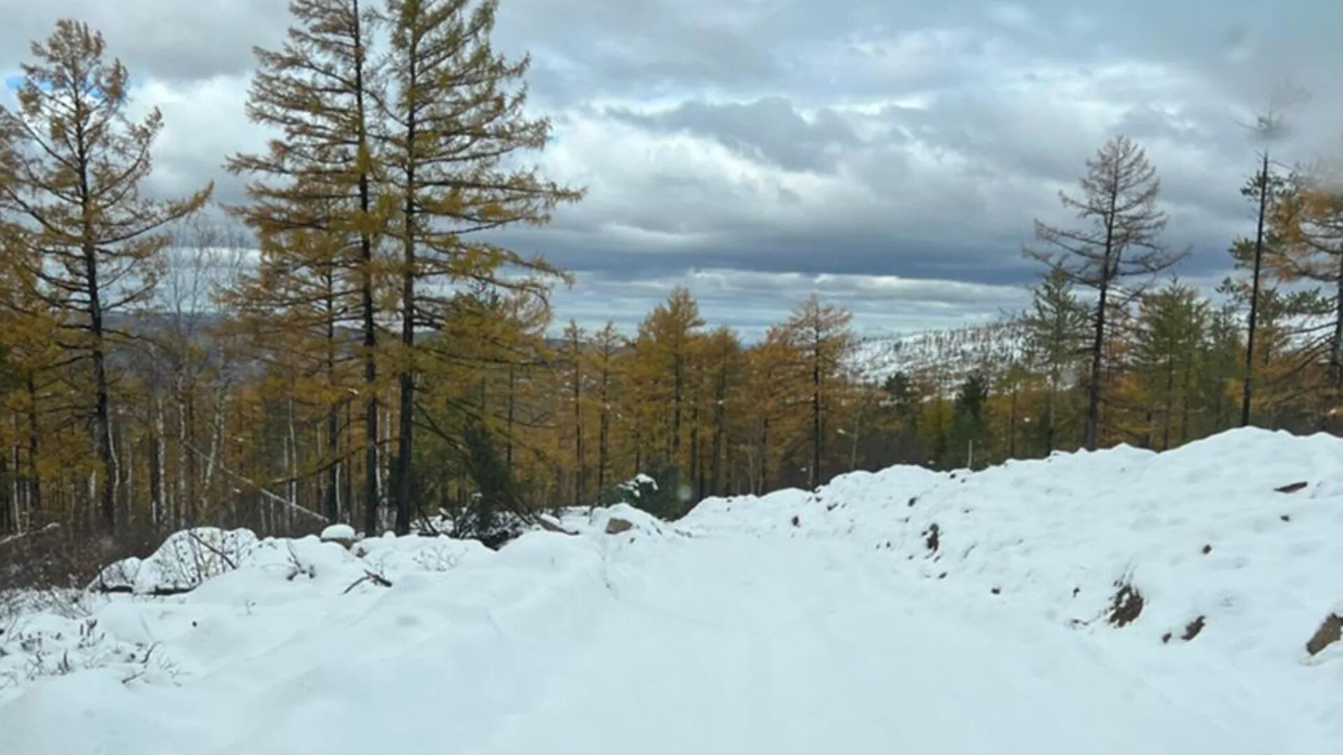 Первый снег. Амурская область зима. Снегопад фото.