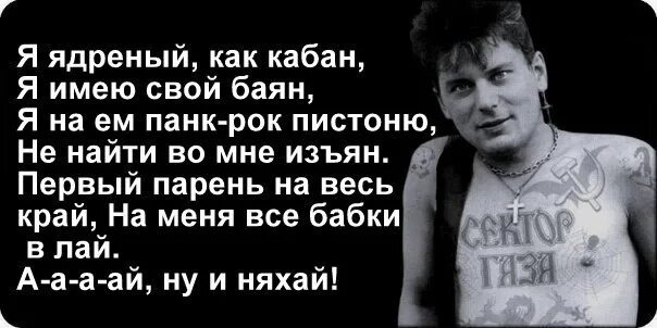 Песня я ядреный как кабан. Сектор газа кабан. Я ядрёный как кабан я. Сектор газа я ядреный как кабан. Я ядрёный как кабан я имею свой баян.