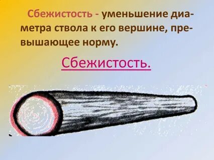Пороки ствола
