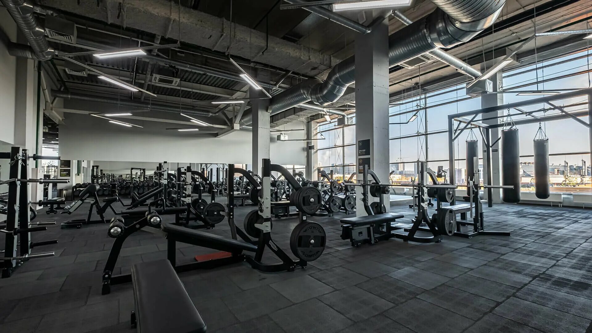 Фитнес клуб тушино. Алекс фитнес свободы 44. Alex fitness тушинская 17. Сдм фитнес в тушино. Алекс фитнес ушинского.