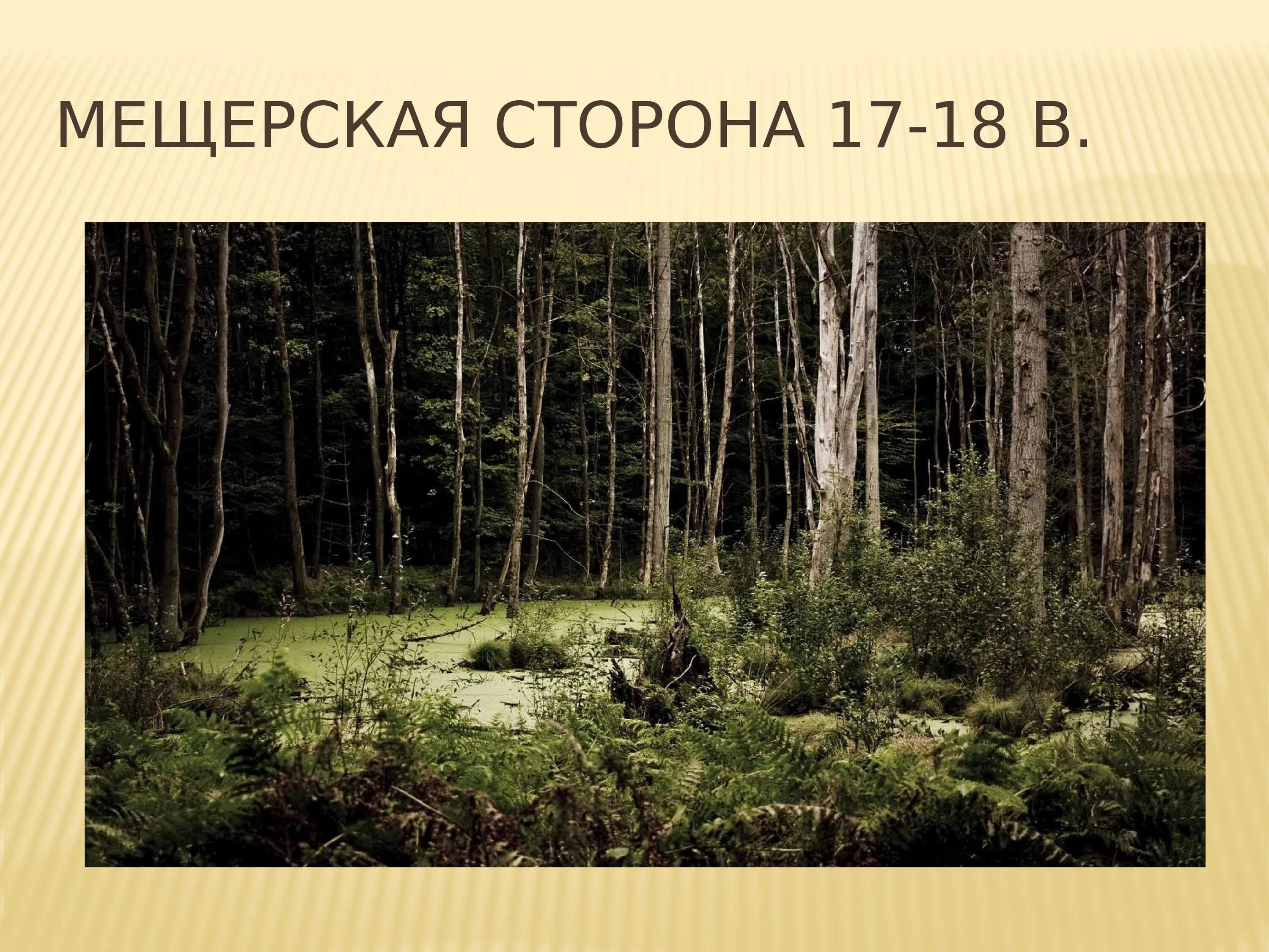 Паустовский к. г. "Мещерская сторона". Мещерский край Паустовский. Мещёра Паустовский. Слово мещера