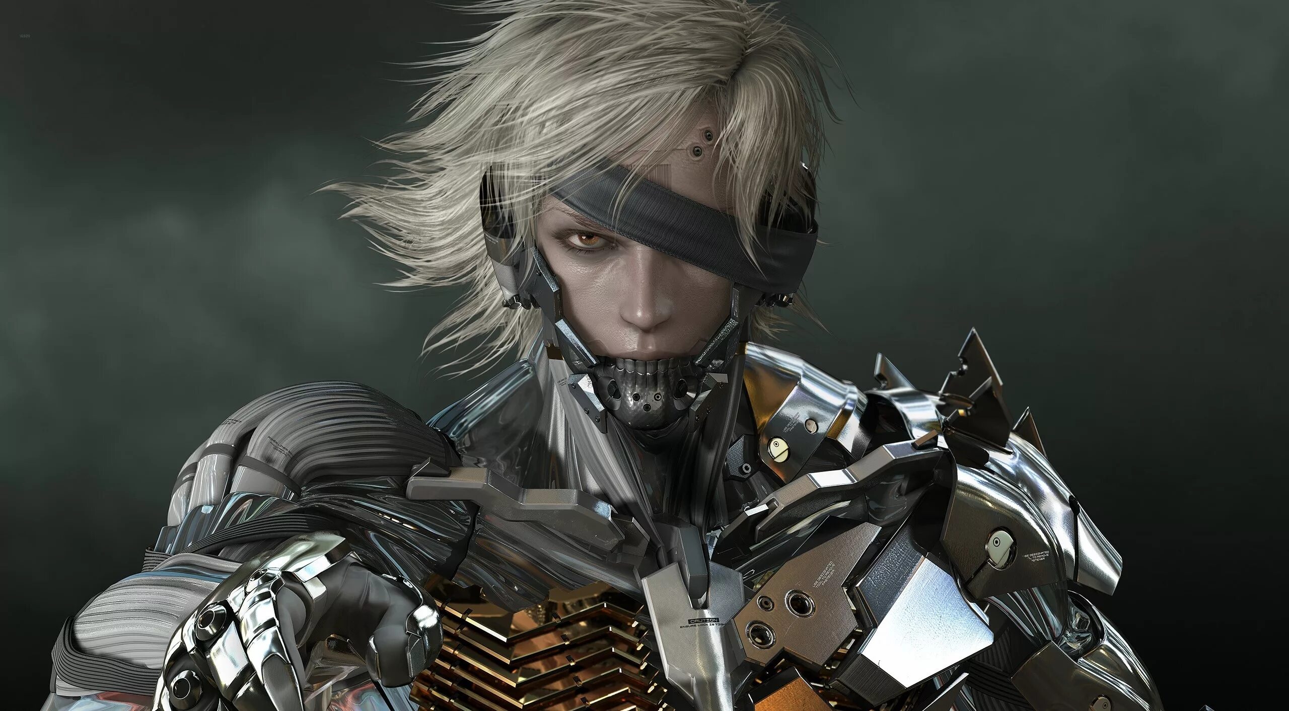 Metal gear rising revengeance на пк. Джек Райден Metal Gear. Райден Metal Gear Rising. Киборг Райден Metal Gear Solid 4. Metal Gear Revengeance Райден.