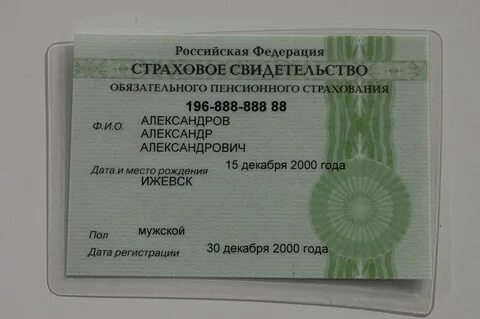 Как узнать снилс физического