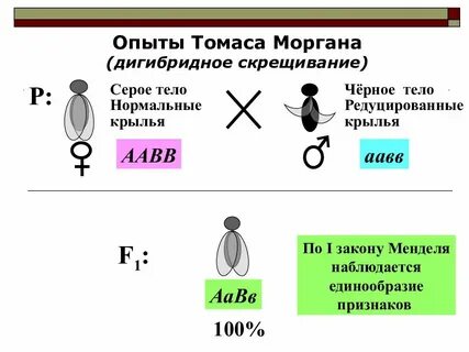 Скрещивание с полом