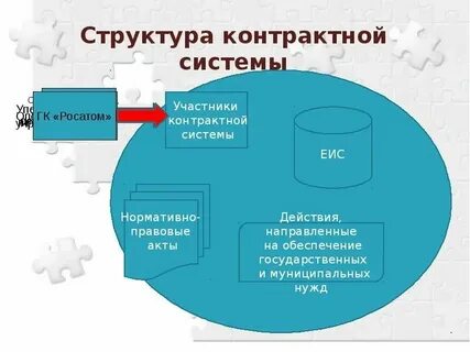 Контрактная система муниципальное образование