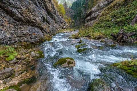 Фото цицы