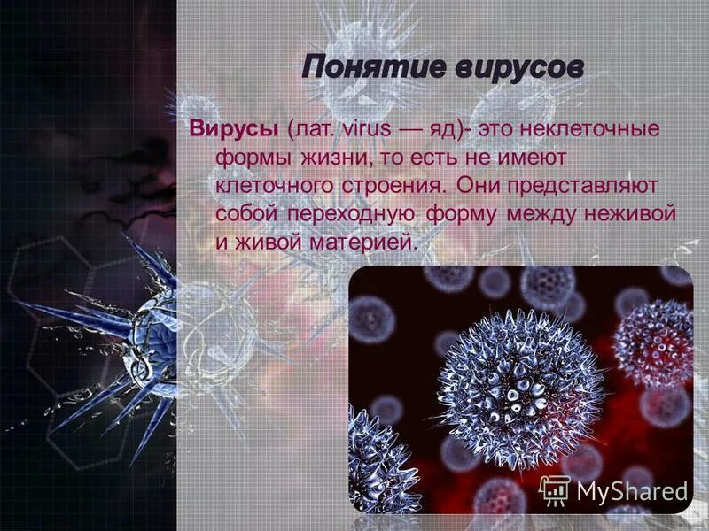 Многообразие вирусов 5 класс презентация